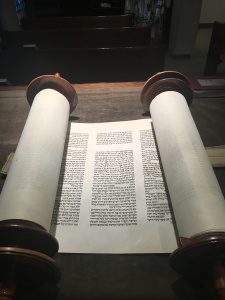 Torah Scroll pic 2